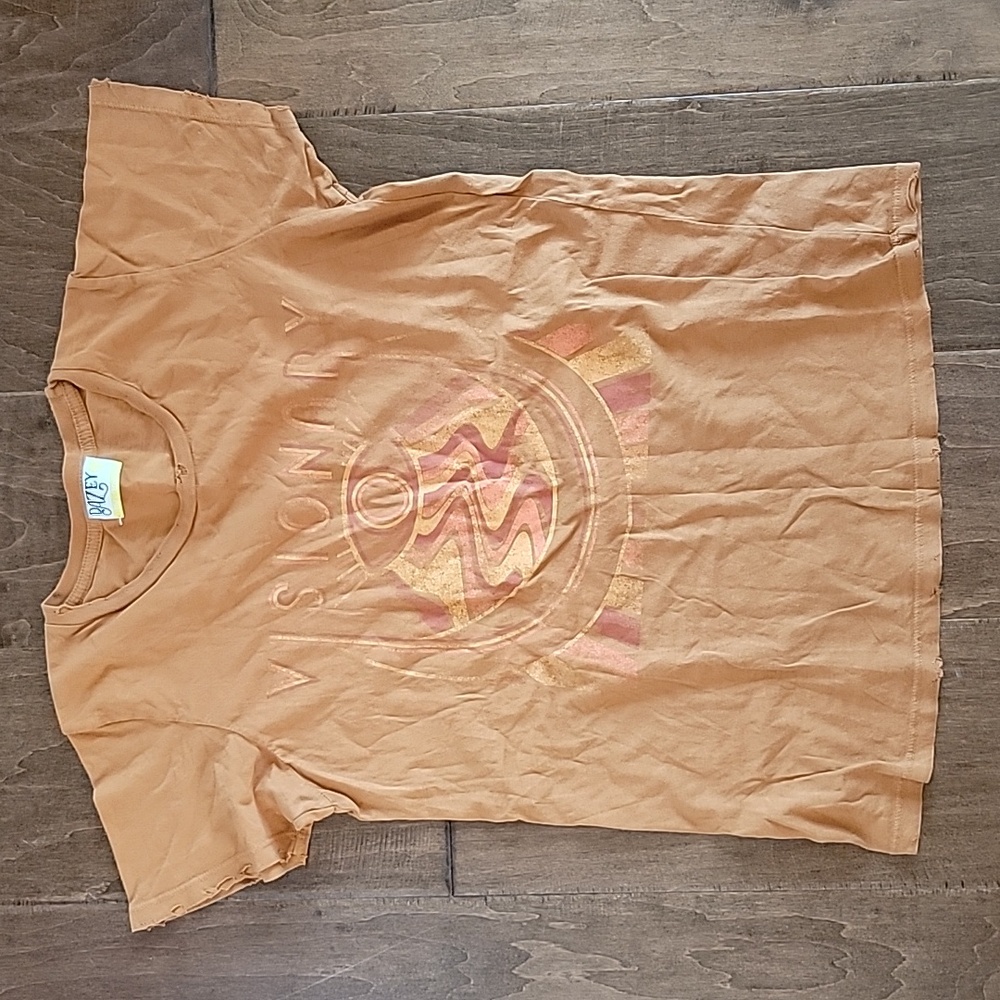 Dazed LA distressed "visionary" t-shirt size medium. Rusty orange never worn
